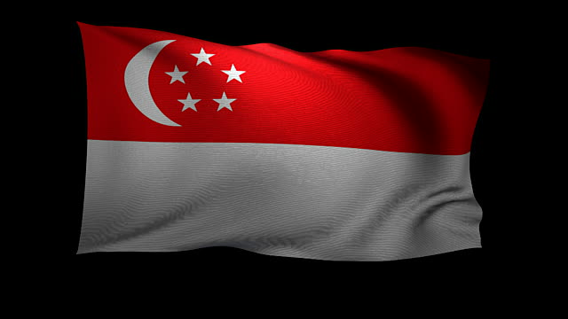 Role of the State in Singapore